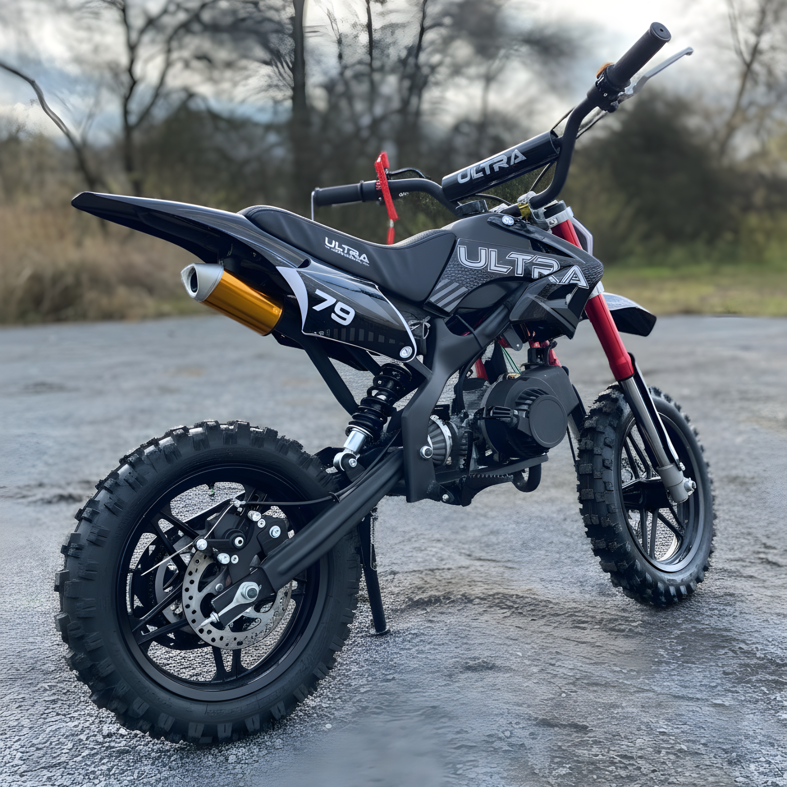 PitBike Minimoto Cross ULTRA 50cc 10/10 Motocross